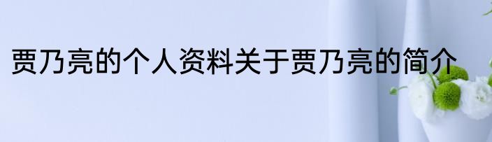 贾乃亮的个人资料关于贾乃亮的简介
