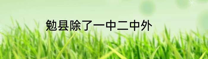 勉县除了一中二中外