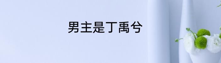 男主是丁禹兮