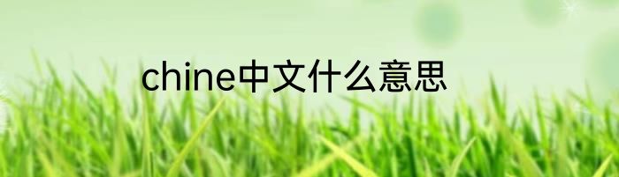 chine中文什么意思