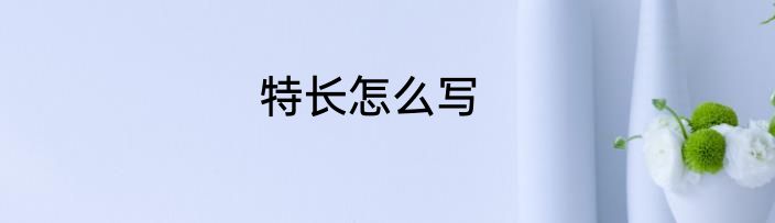特长怎么写
