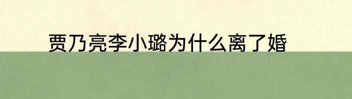 贾乃亮李小璐为什么离了婚