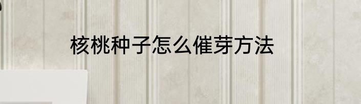 核桃种子怎么催芽方法
