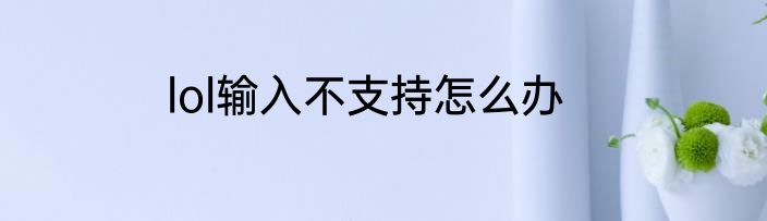 lol输入不支持怎么办