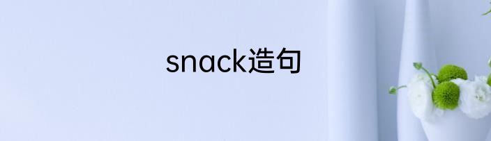 snack造句