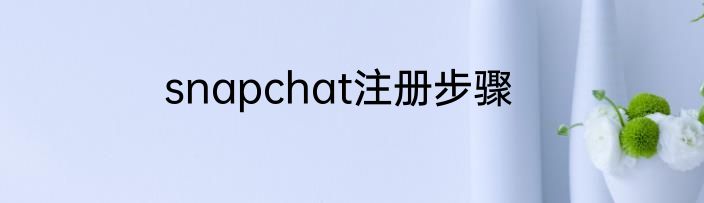 snapchat注册步骤