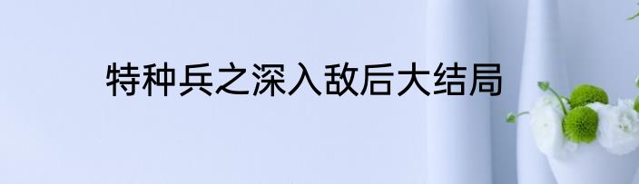 特种兵之深入敌后大结局