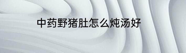 中药野猪肚怎么炖汤好