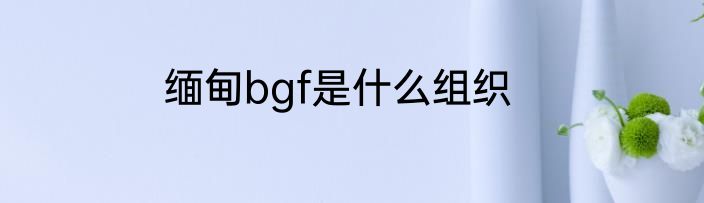 缅甸bgf是什么组织