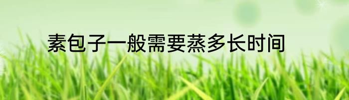 素包子一般需要蒸多长时间