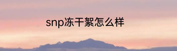 snp冻干絮怎么样