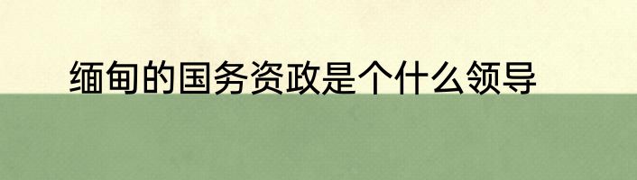 缅甸的国务资政是个什么领导
