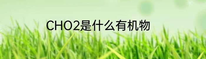 CHO2是什么有机物