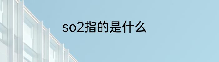 so2指的是什么