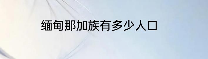 缅甸那加族有多少人口