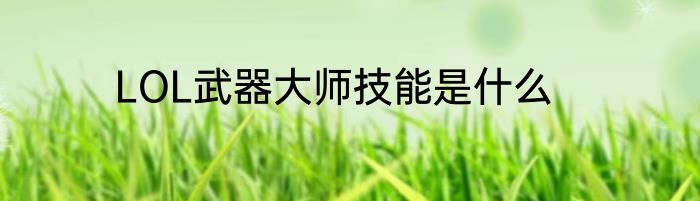 LOL武器大师技能是什么