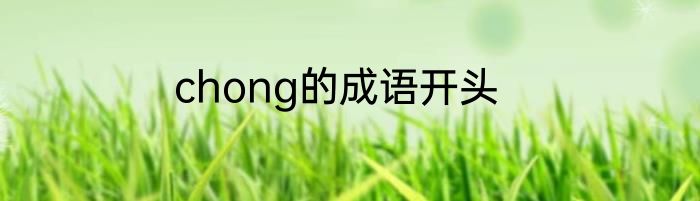 chong的成语开头