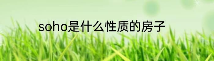 soho是什么性质的房子