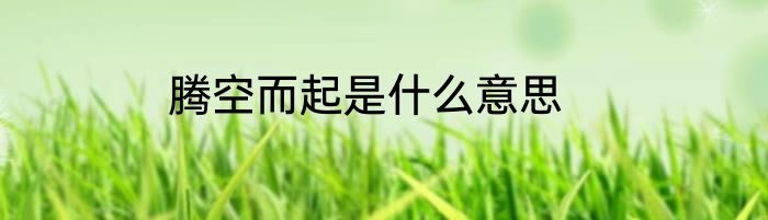 腾空而起是什么意思