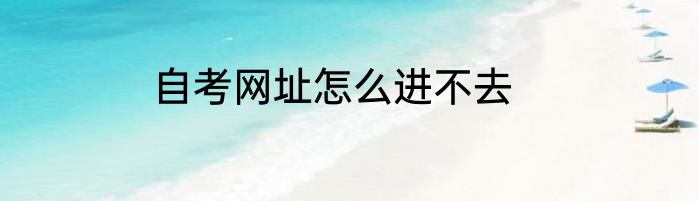 自考网址怎么进不去