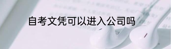 自考文凭可以进入公司吗