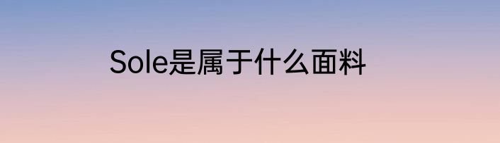 Sole是属于什么面料