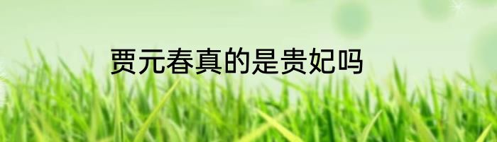 贾元春真的是贵妃吗