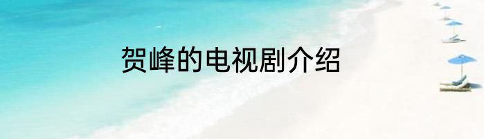 贺峰的电视剧介绍