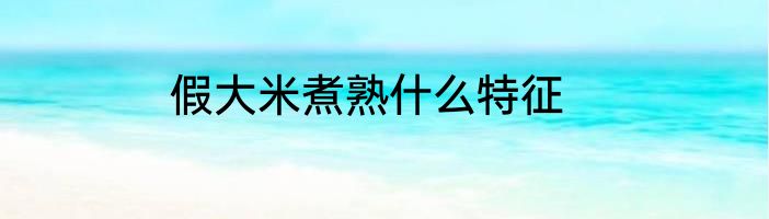 假大米煮熟什么特征