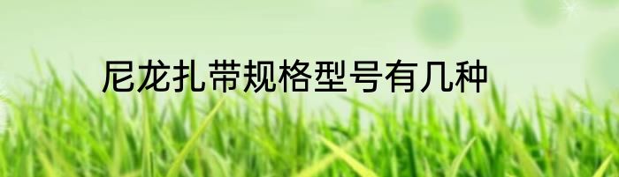 尼龙扎带规格型号有几种