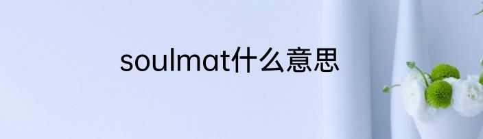 soulmat什么意思