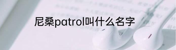 尼桑patrol叫什么名字