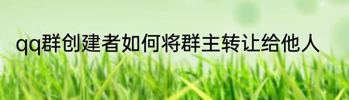 qq群创建者如何将群主转让给他人
