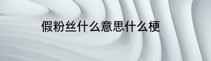 假粉丝什么意思什么梗