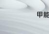 甲能组哪些词