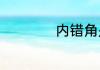 内错角是什么什么叫