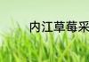 内江草莓采摘园几月份采摘