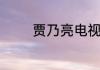 贾乃亮电视剧大全全集免费