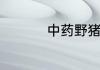 中药野猪肚怎么炖汤好