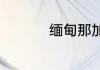 缅甸那加族有多少人口