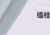 缅桂花的来历