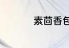 素茴香包子的做法大全