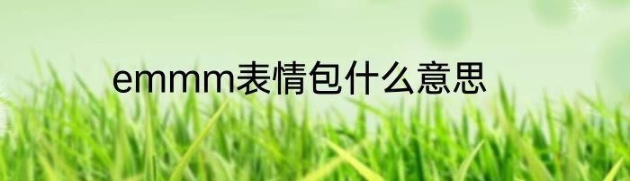 emmm表情包什么意思