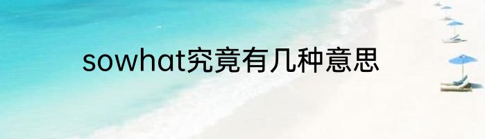 sowhat究竟有几种意思