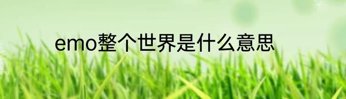 emo整个世界是什么意思