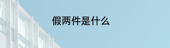 假两件是什么