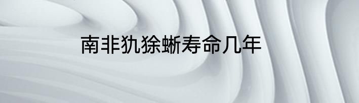 南非犰狳蜥寿命几年