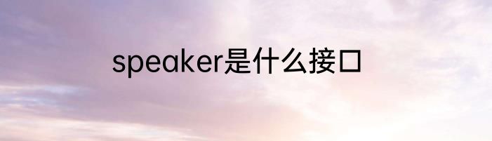 speaker是什么接口