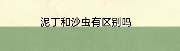 泥丁和沙虫有区别吗