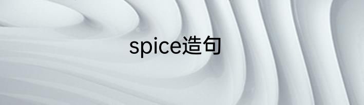 spice造句